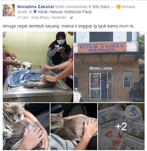 Klinik kucing dahlia