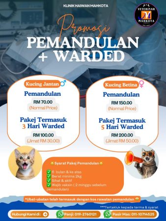 WhatsApp Image 2025-10-29 at 15.15.49_d7fa9275